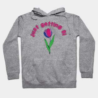 just getting bi if you are ok Hoodie